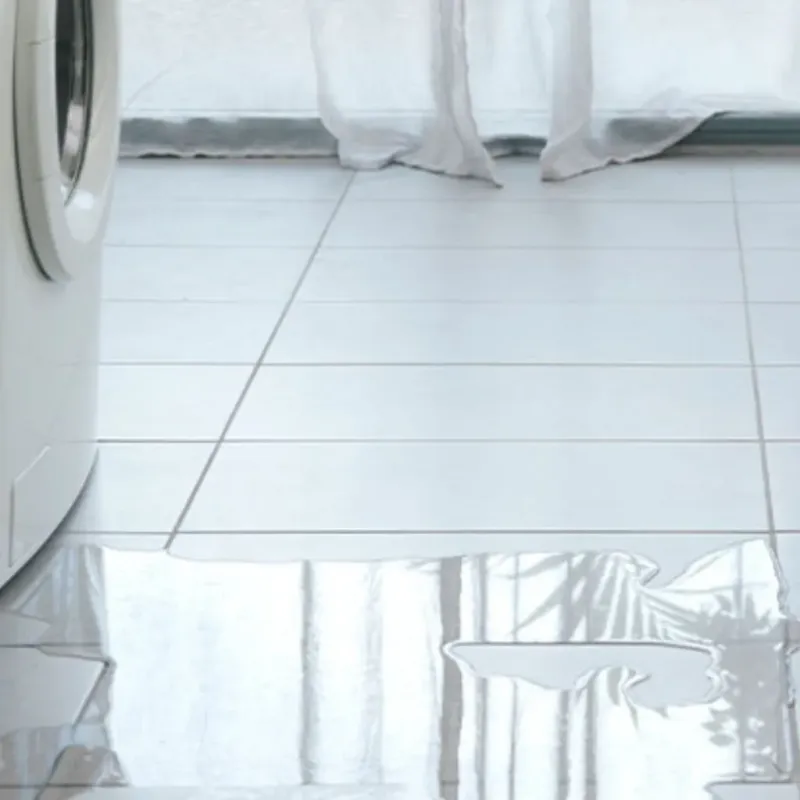Appliance Leak Cleanup in Albion, NY