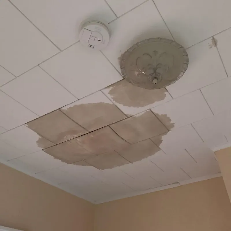 Ceiling Water Damage Repair in Albion, NY