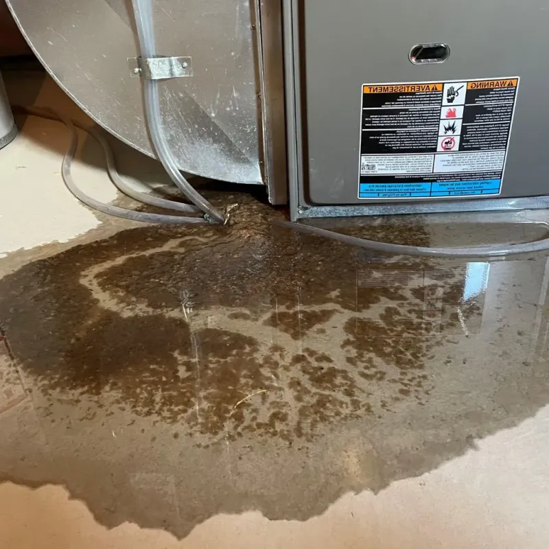 Pipe Burst and Leak Restoration in Albion, NY